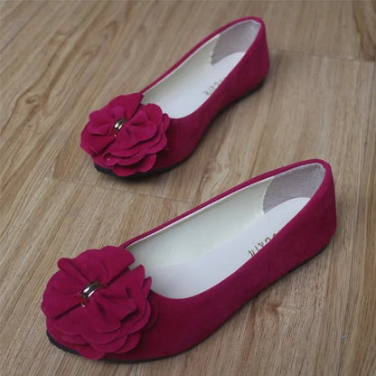 Nola Cozy - Elegant & Supportive Ballerinas for Daily Comfort